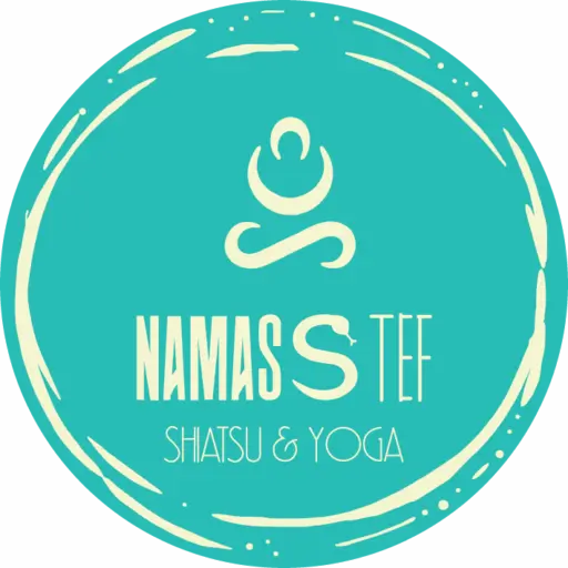Logo NAMASSTEF