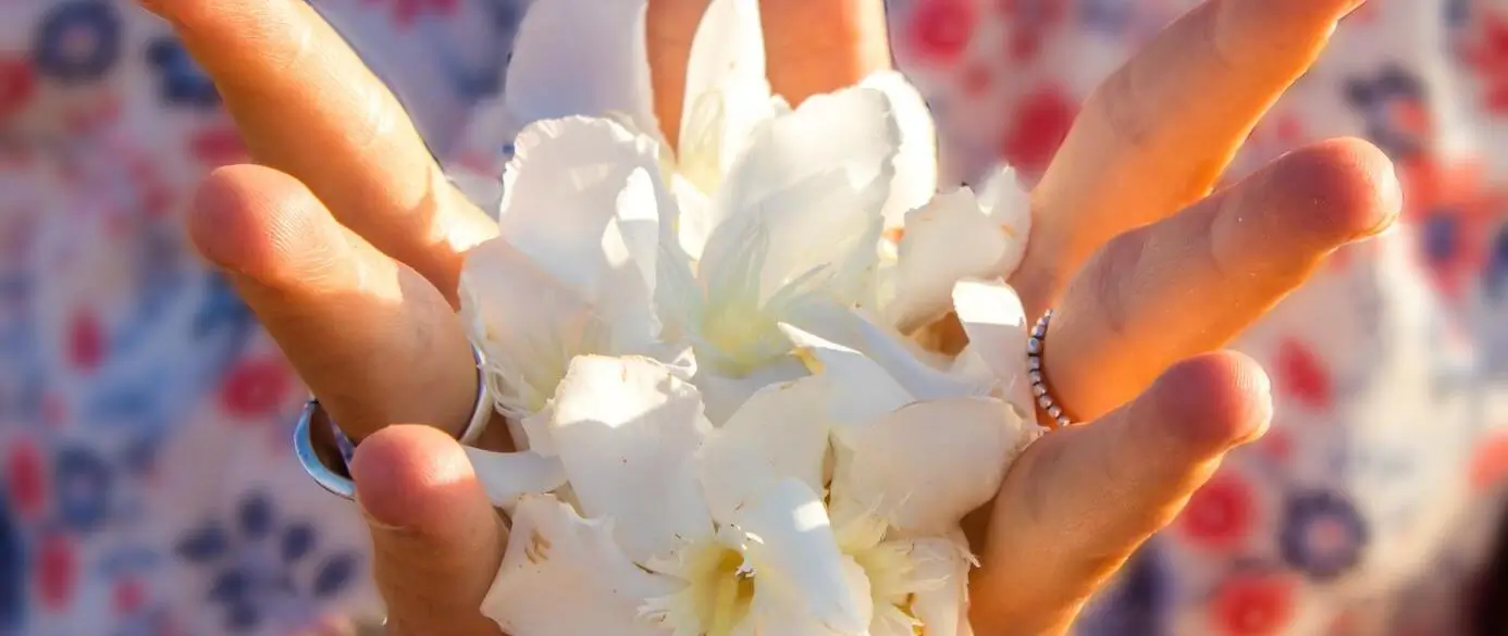 Yoga - Hatha & Vinyasa 1 namasstef mano fleur blanc