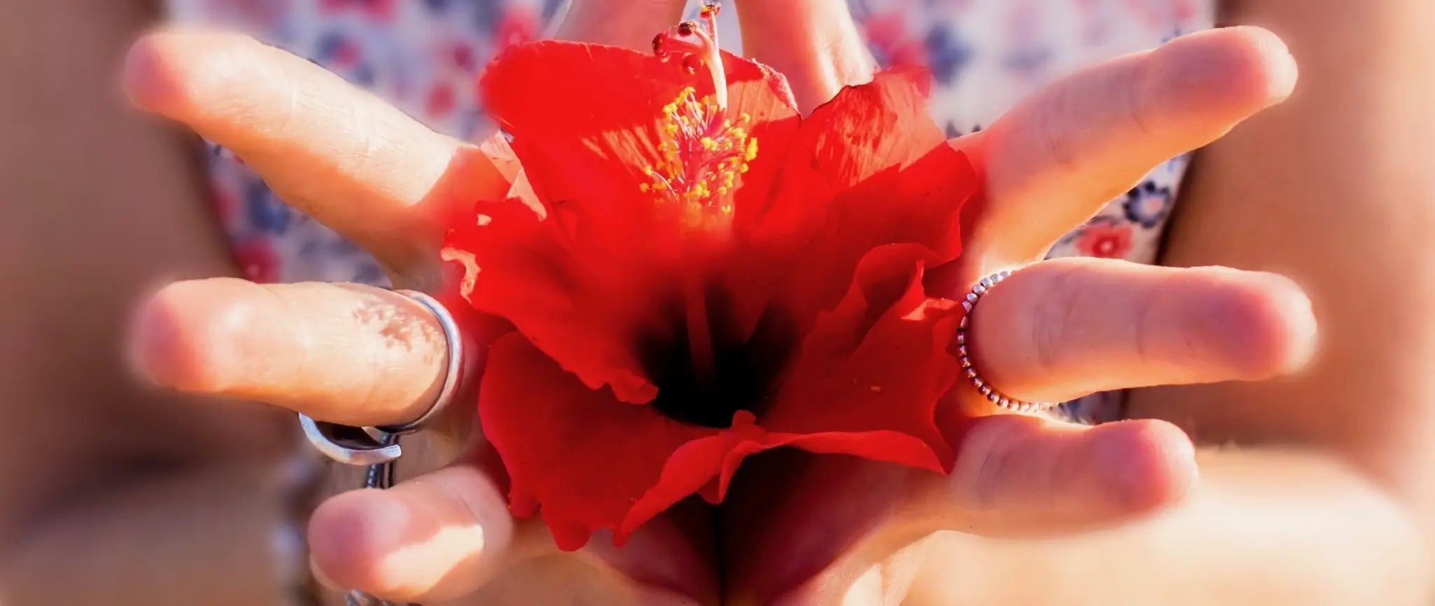 Namasstef 1 namasstef mano fleur rouge
