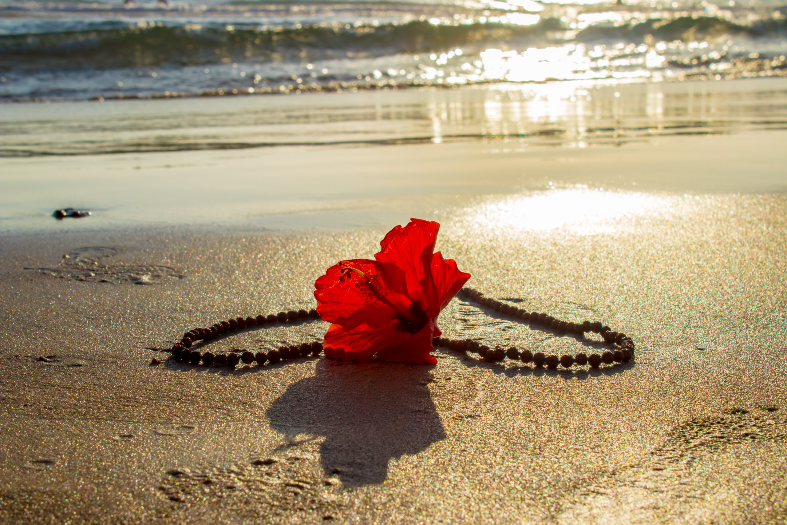 namasstef_mon parcours mon parcours, image plage mer collier fleur rouge